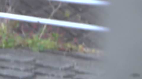 登校途中の路上での放尿 2