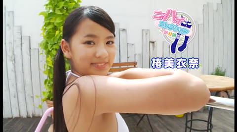 ニ・ハイ・ツバキ