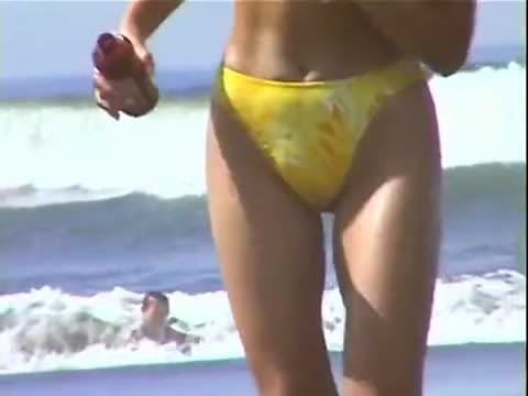 いろいろ見てきた。