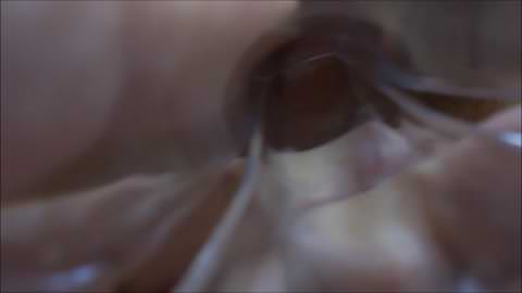 1月16日の出来事。デジタルカメラで撮影