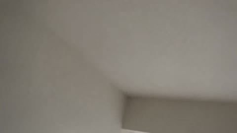 おとなしくて可愛い現役の