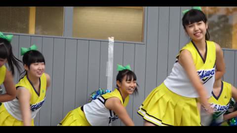 期間限定：Meister 142