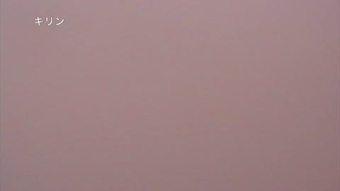 証拠写真付き「リツの初撮影」の正体完全暴露