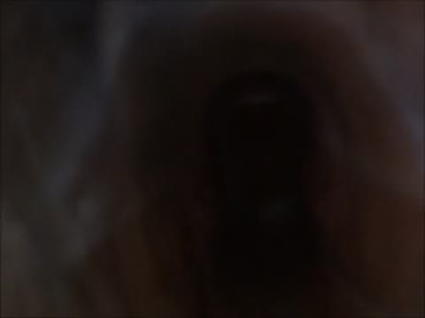 1月24日の出来事。デジタルカメラで撮影。修正済み