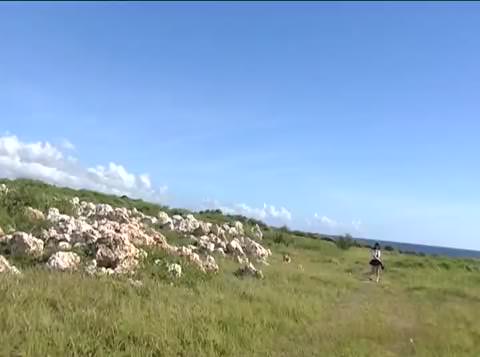 Tバック姿の美女14人