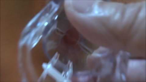 一昨日（3月12日）の出会い — デジタルカメラで撮影、編集済み