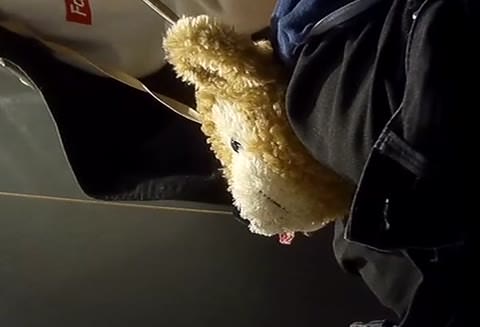 可愛い美女たちの危険なセルフィーの大量公開