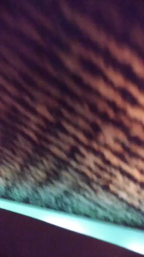 女子高生の写真ブース