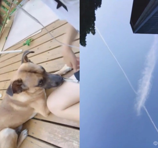 美女・シイとのビデオ通話